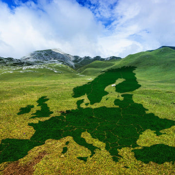 What Does "European Origin" Mean?  A Guide for Conscious Crafters