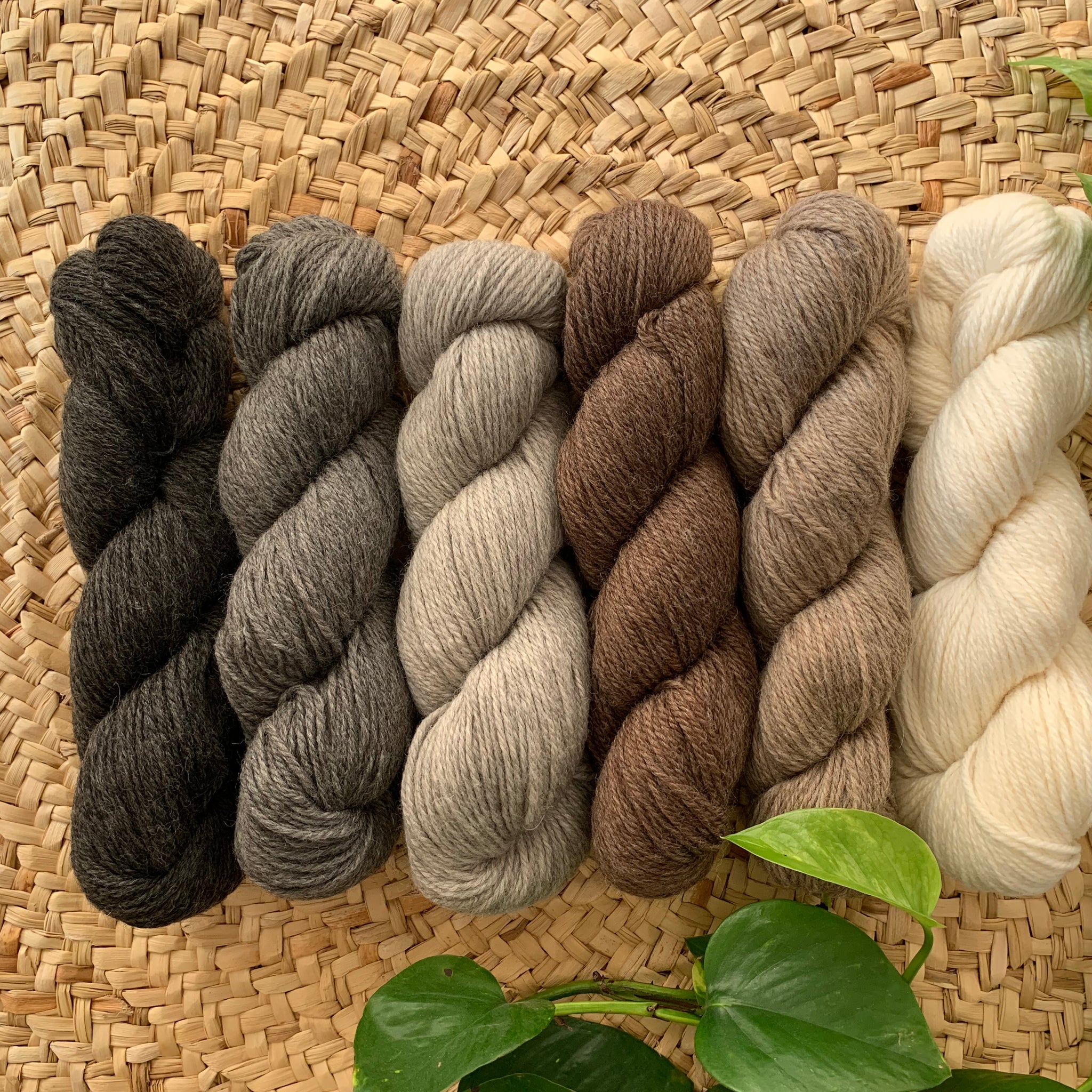 Farm Lovers- Natural Eco Wool