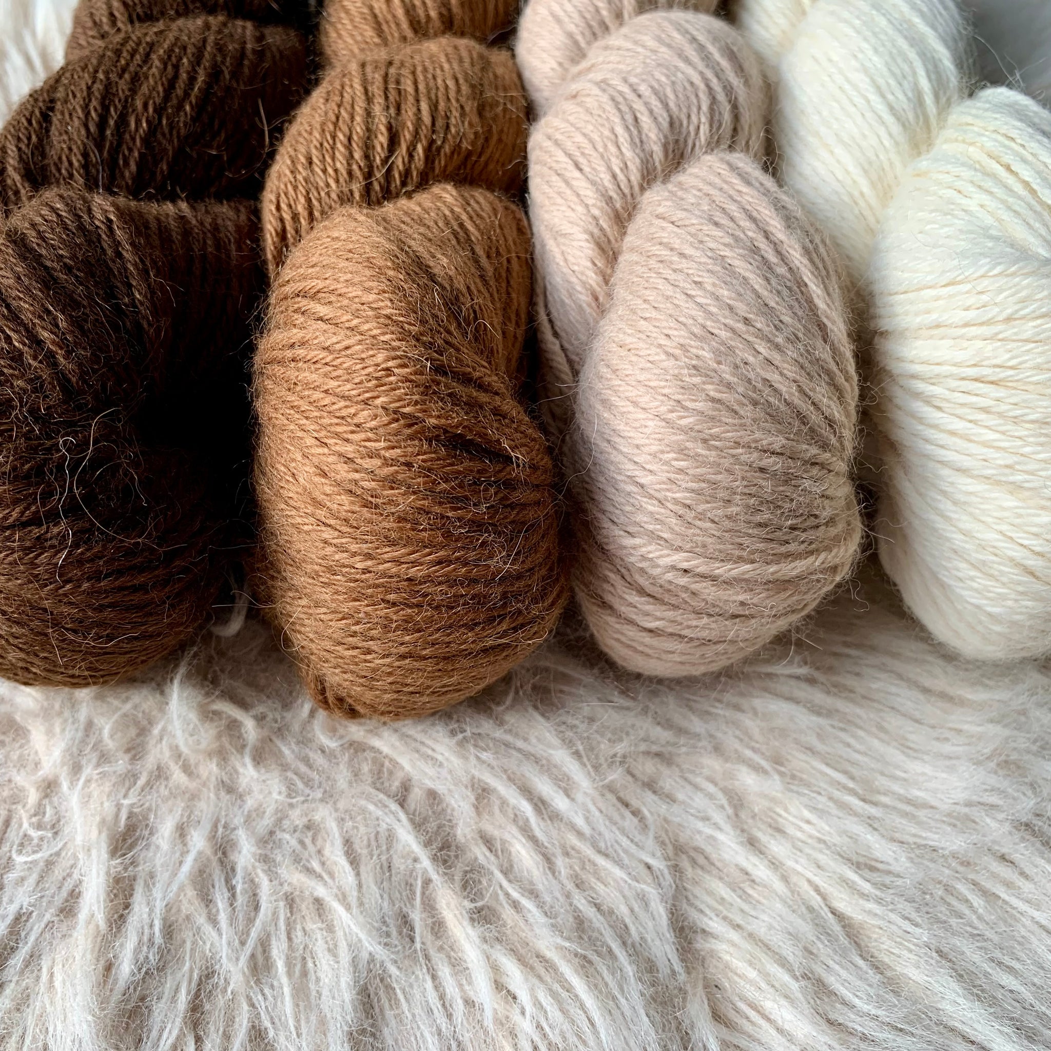 Farm Lovers- Undyed Eco Alpaca (DK)