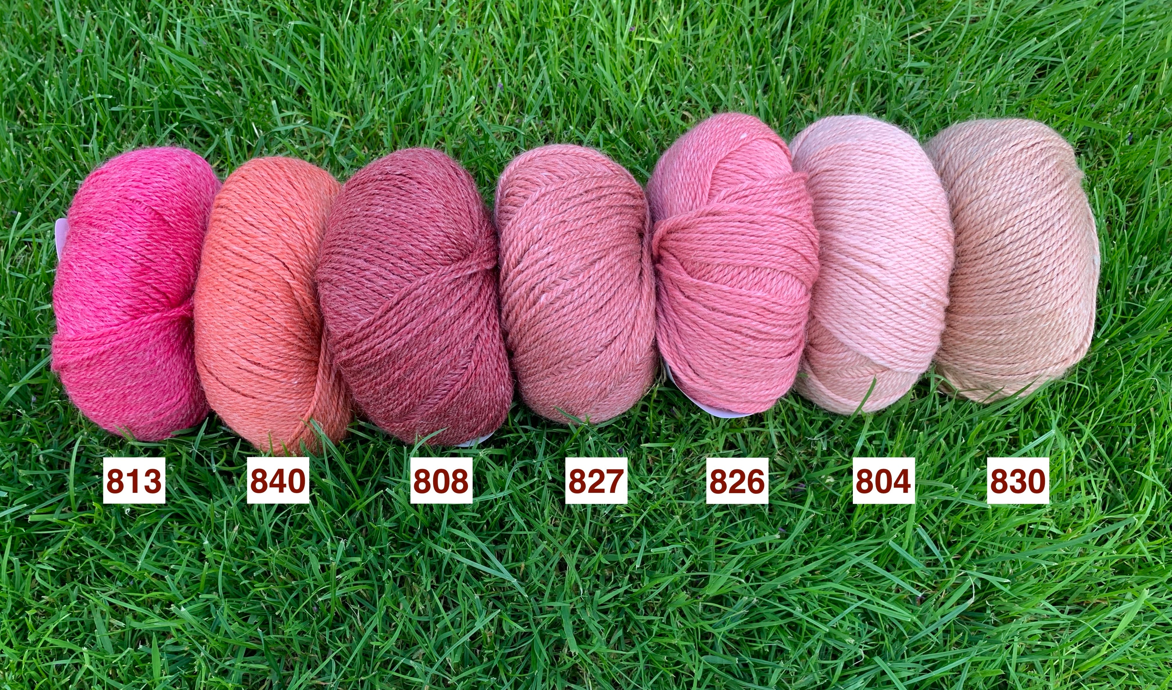 Onion- No 4 (Organic Merino + Nettles)