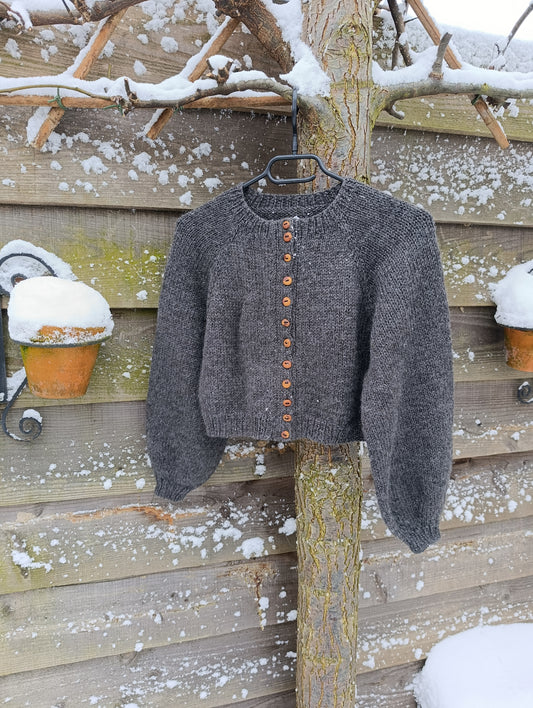 Valkyria Cardigan Kit